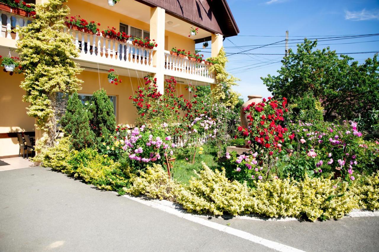Motel Moara Veche Sacalaseni Luaran gambar